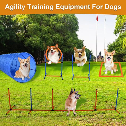 Agility Training Equipment for Dogs, Dog Agility Course Backyard Set Include - Image 2