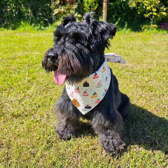 Birthday Dog Bandanas Medium Large, Colorful Cakes Stripes, Reversible Soft - Image 2