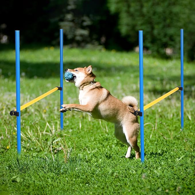 8 Set Dog Agility Jump Adjustable Dog Agility Hurdle Training Equipment - Image 7