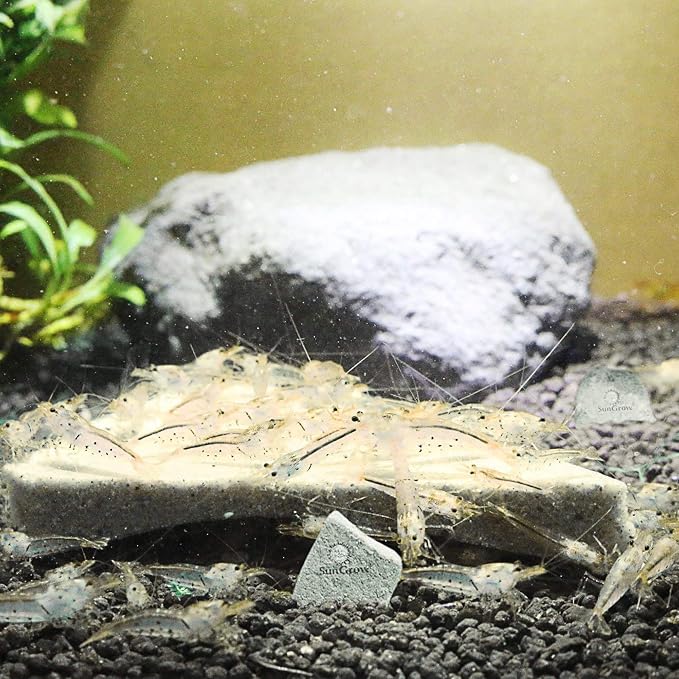 SunGrow Shrimp Rocks, Magnesium Rocks - Image 8