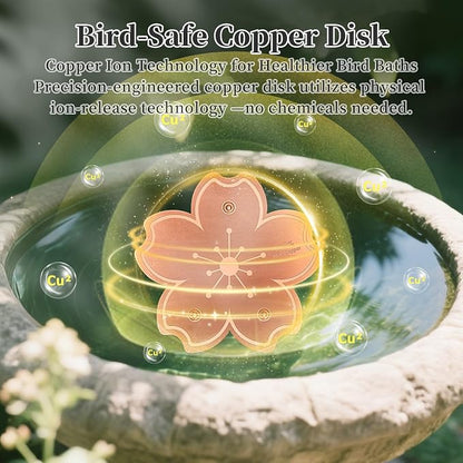 99.99% Pure Copper Bird Bath Disk, Triple-Point Support Design Lower Cleaning - Image 3