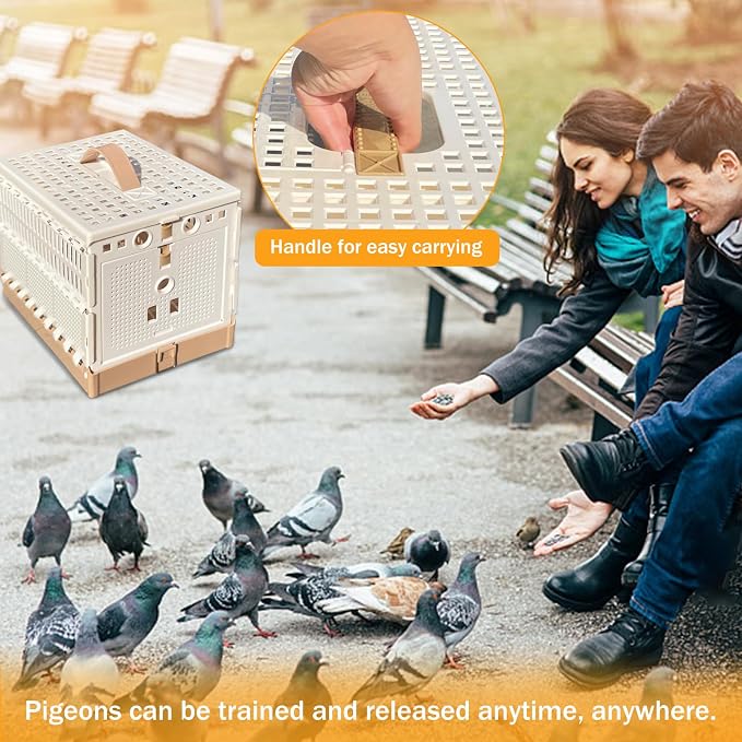 Folding Pigeon Cage Racing Pigeons Travel Cage Pairing Cage Plastic Two Doors - Image 6