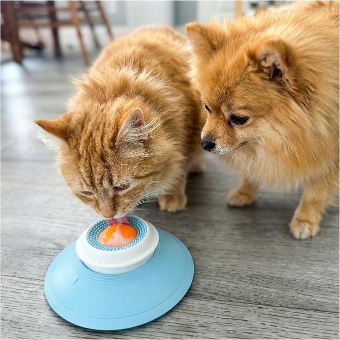 Dog Lick Slow Feeder Bowl by BobiCare