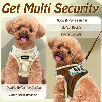 AIITLE No Pull Dog Harness and Leash Set, Step in Adjustable Dog Harness - Image 7