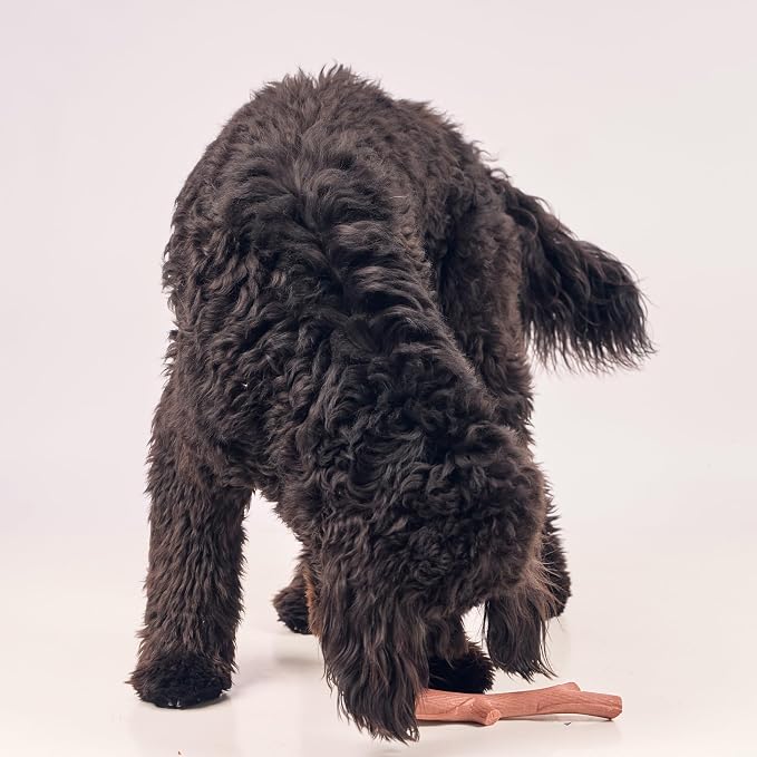 SPOT Bam-Bones Plus Branch -Bamboo Fiber & Nylon, Durable Long Lasting Dog Chew - Image 11