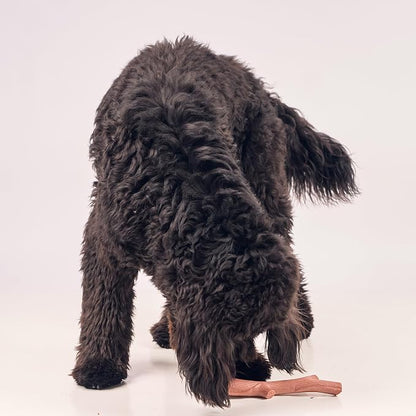 SPOT Bam-Bones Plus Branch -Bamboo Fiber & Nylon, Durable Long Lasting Dog Chew - Image 11