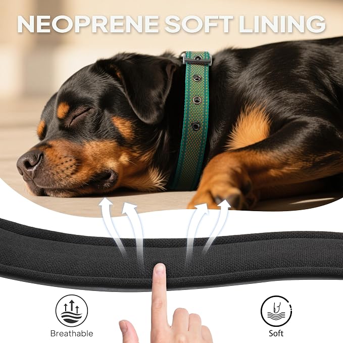 PetiFine Dog Collar for Large Dogs, Neoprene Padded and Adjustable, Reflective - Image 3