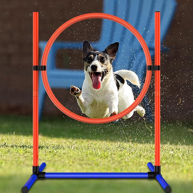 Dog Agility Training Equipment, Dog Obstacle Course Training Starter Kit Pet - Image 6