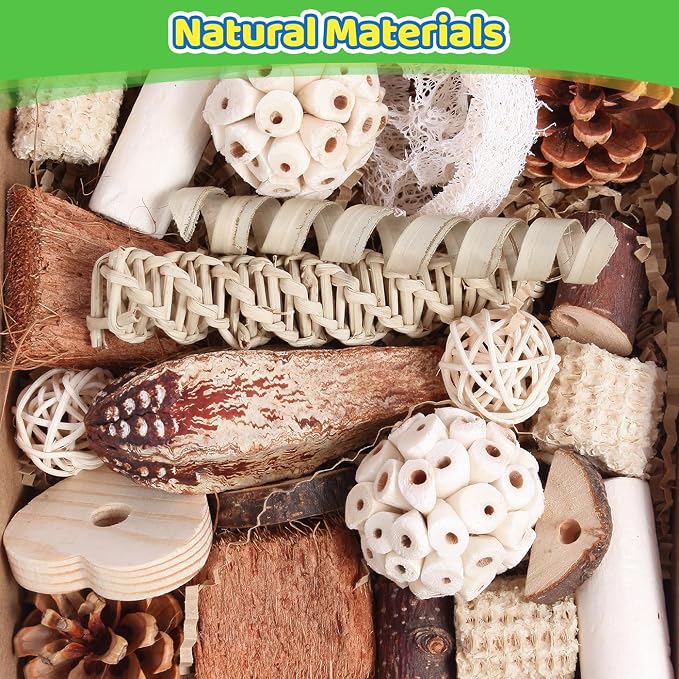 Kyouki Bird Toys Parrot Toys Natural Bird Foraging Box Foot - Image 2