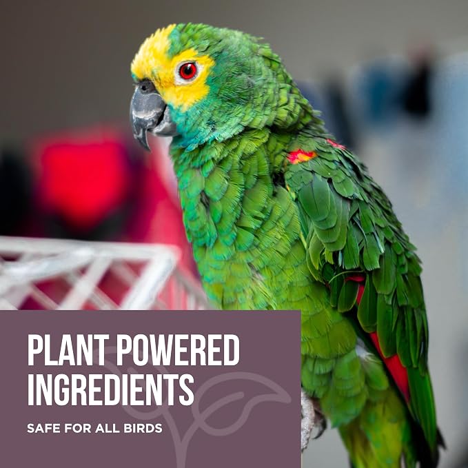 Natural Rapport Bird Cage Cleaner - Image 2