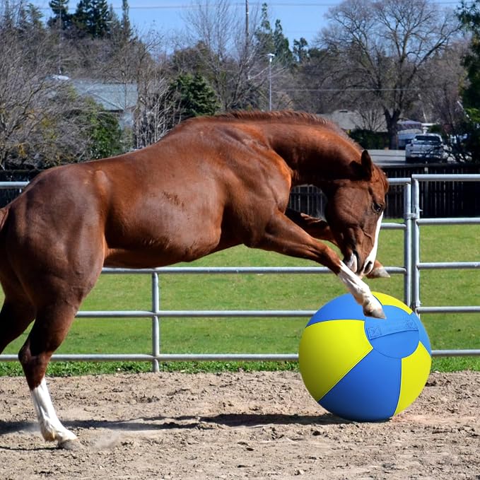 Herding Ball for Dogs and Horses - Image 8