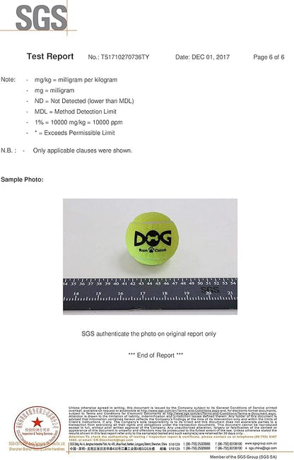 Tennis Balls for Dogs - Image 8