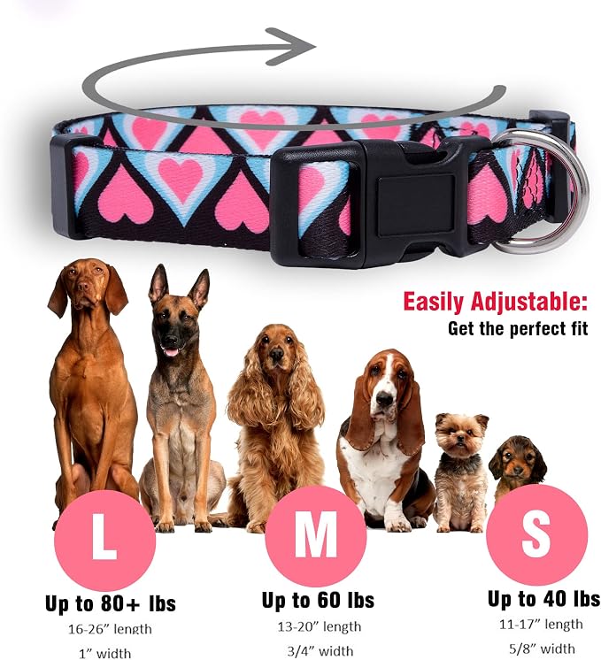Native Pup Valentine’s Dog Collar- Valentines Day Pet Collars- Valentine Girly - Image 3