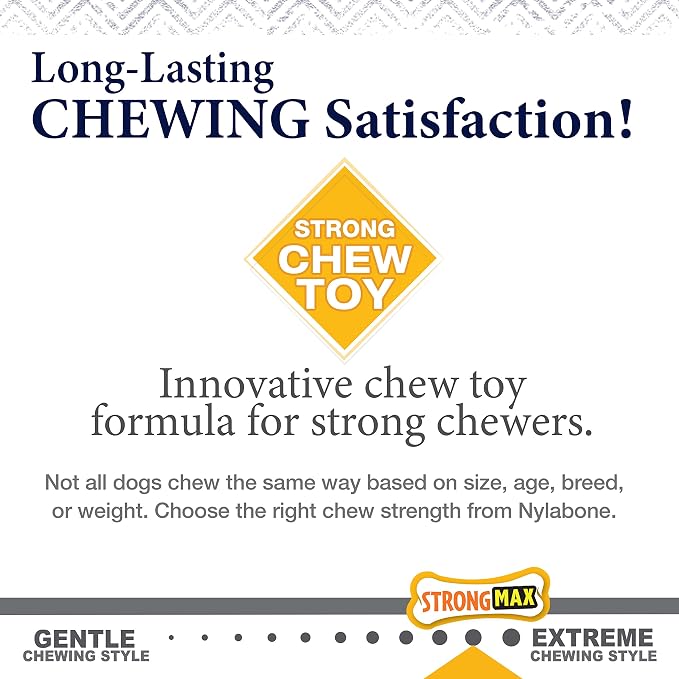 Nylabone Gourmet Style Strong Chew Toy Bundle, Toys - Image 6