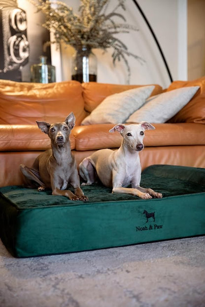 NOAH & PAW Large Dog Bed, Orthopedic Dog Beds, Eggshell Memory Foam Infused - Image 6