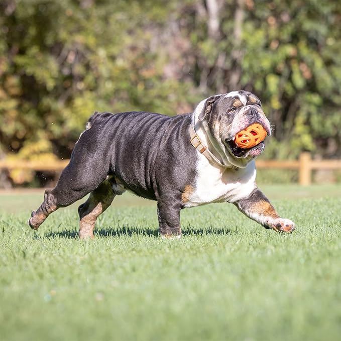 Chuckit! Air Fetch Football Dog Toy - Image 2