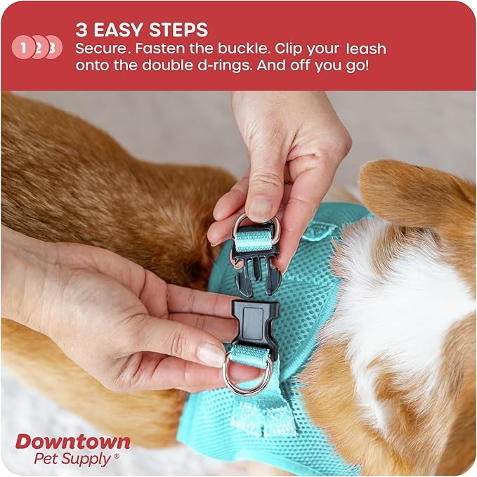 Downtown Pet Supply Step in Dog Harness No Pull, Light Blue - Image 5