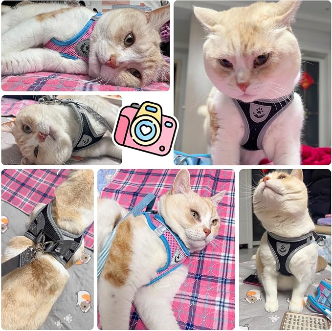 SCENEREAL Cat Harness and Leash Set Escape Proof, Adjustable Soft Air Mesh - Image 7