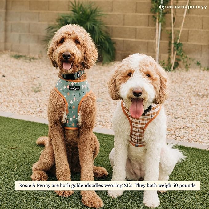 Lucy & Co. Take a Hike Reversible Dog Harness - Image 2