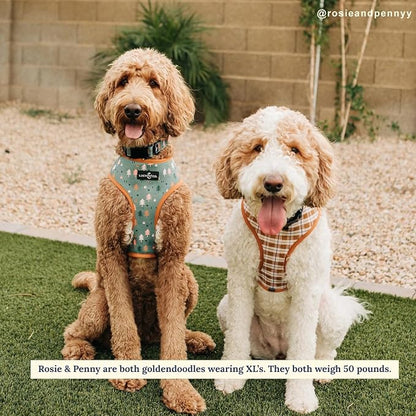 Lucy & Co. Take a Hike Reversible Dog Harness - Image 2