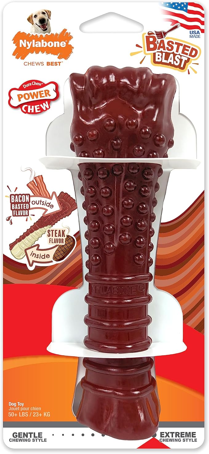 Nylabone Textured Bone Power Chew Toy - Image 10
