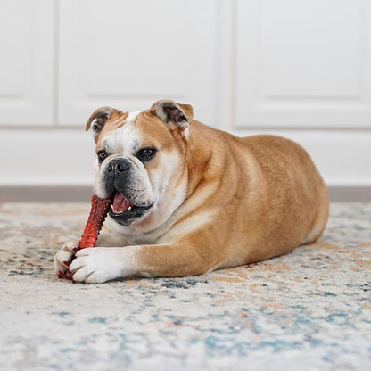 Nylabone Textured Bone Power Chew Toy - Image 7