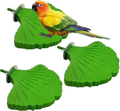 3 Pcs Parrot Perch Resin Bird Beak Grinding Stone Leaf Shape Perch Stand Foot by Apatal