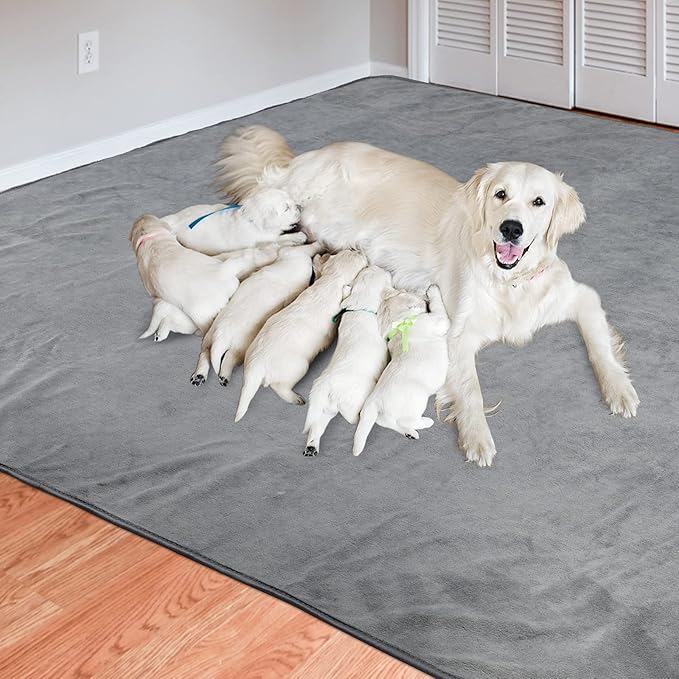 Dog Pee Pad Washable-Extra Large Instant Absorb Training Pads Non-Slip Pet - Image 7