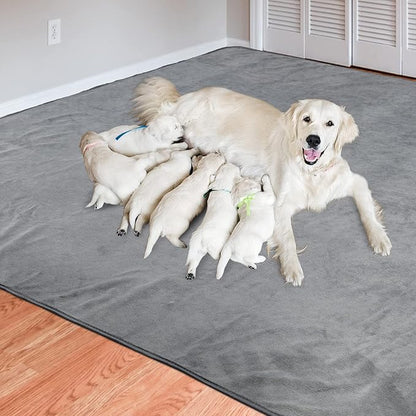 Dog Pee Pad Washable-Extra Large Instant Absorb Training Pads Non-Slip Pet - Image 7