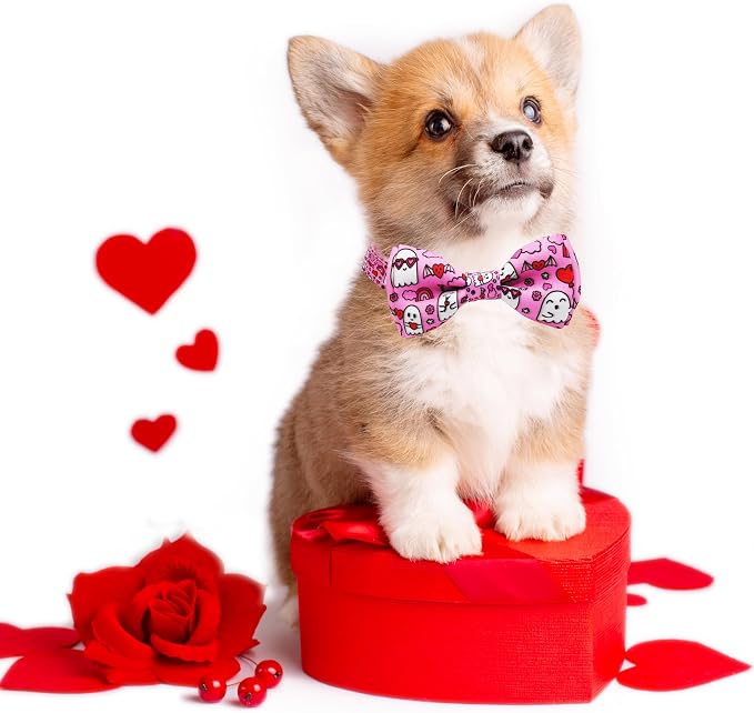 Valentine’s Day Dog Collar Adjustable Puppy Collar - Image 6