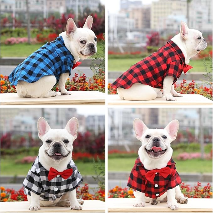 Tongcloud 3 Pack Plaid Puppy Cat Shirt - Image 2