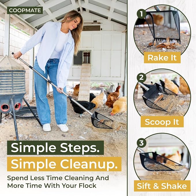 2-in-1 Chicken Coop Poop Scooper and Rake - Image 4
