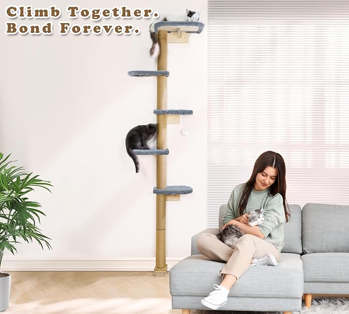 Cat Wall Shelves for Kittens, 83” Floor to Ceiling Cat Tree - Image 4