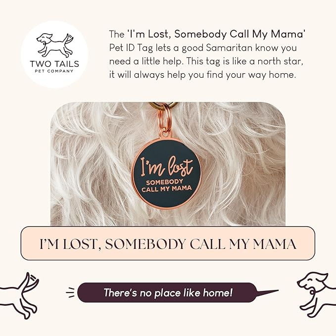 Two Tails Pet Company Dog Tags Personalized “I'm Lost, Somebody Call My Mama” - Image 2