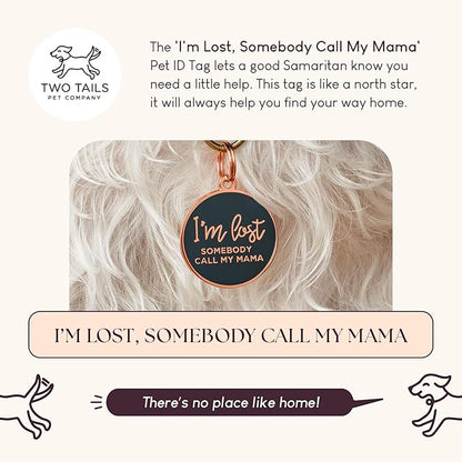 Two Tails Pet Company Dog Tags Personalized “I'm Lost, Somebody Call My Mama” - Image 2