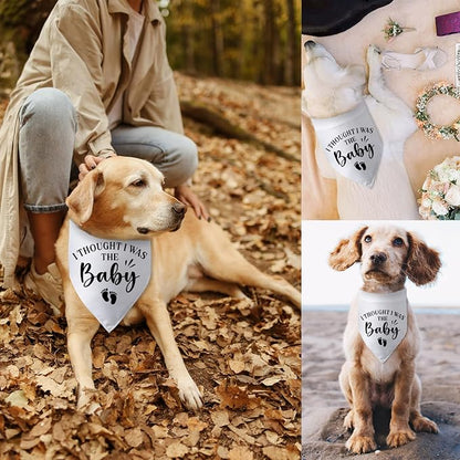 Pregnancy Announcement Dog Bandana I Thought I was The Baby Gender Reveal Dog - Image 6