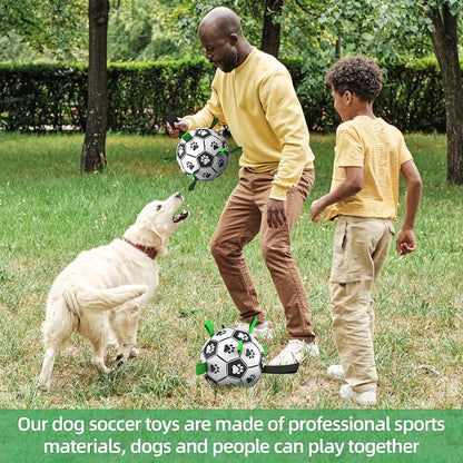 QDAN 2 PCS Dog Toys Soccer Ball Set - Image 5