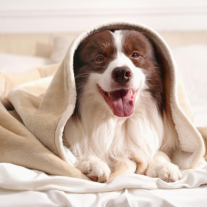 gogobunny Waterproof Pet Blanket - Image 5