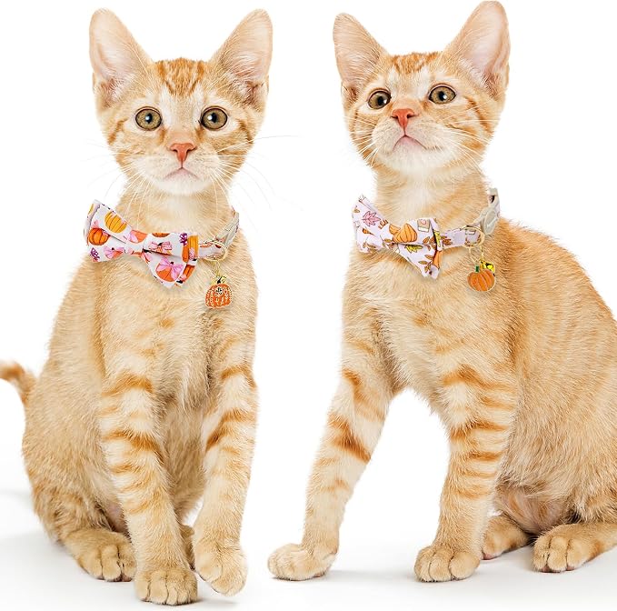 Faygarsle 2 Pack Fall Pumpkin Cat Collar - Image 6