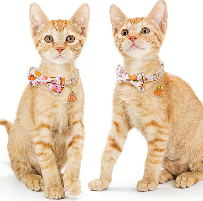 Faygarsle 2 Pack Fall Pumpkin Cat Collar - Image 6