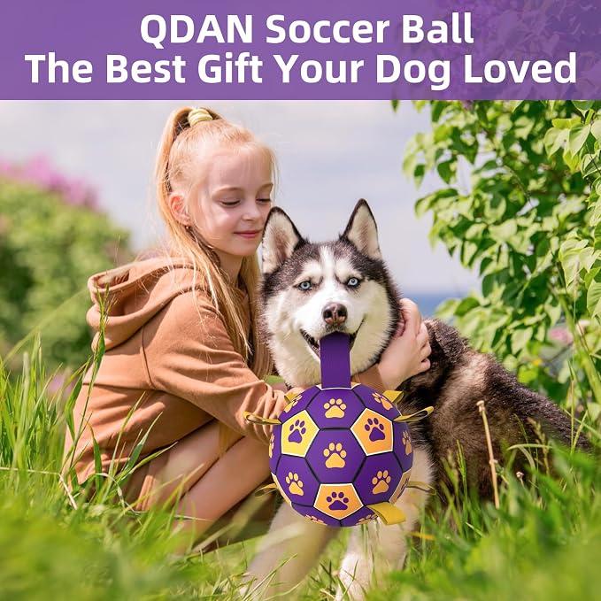 QDAN Extra Large Dog Toys Soccer Ball - Image 2