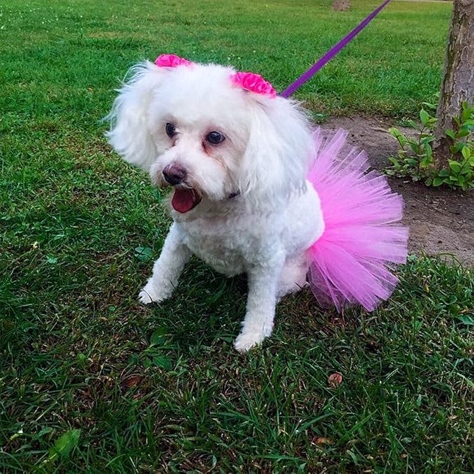 PET SHOW 4Pcs Pink Dog Birthday Hat - Image 7