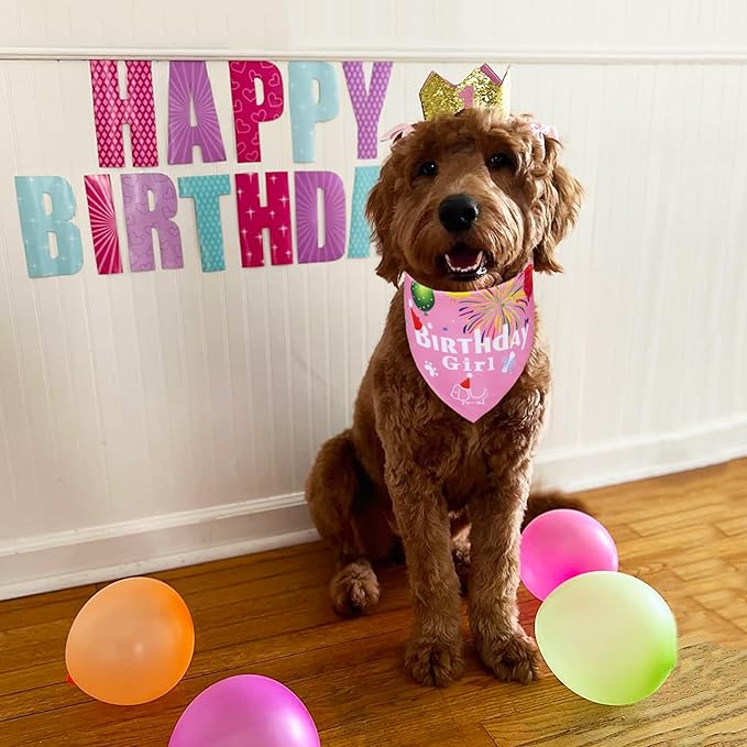 ADOGGYGO Dog Bandana Hat Set for Birthday Party Supply, Boy Girl Puppy Birthday - Image 2