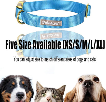 Nylon Dog Collar - Image 8