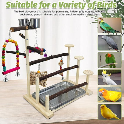 PINVNBY Bird Playground 9 PCS Parrot Perch Stand Play Gym Cockatiel Wood Bird - Image 5