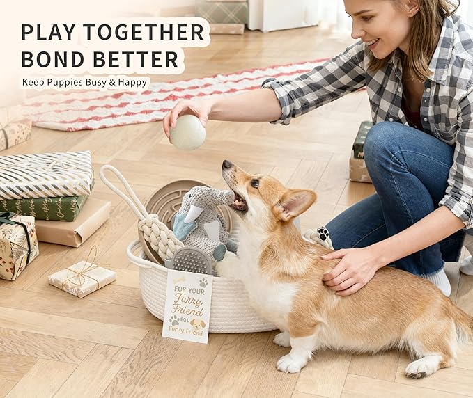 Dog Gift Basket – Puppy Starter Kit, Welcome New Puppy Gift Basket - Image 5