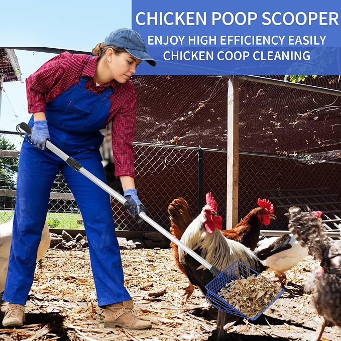 Jonkehai Chicken Poop Scooper 6inch Metal Chicken Litter Scoop Extendable Metal - Image 5