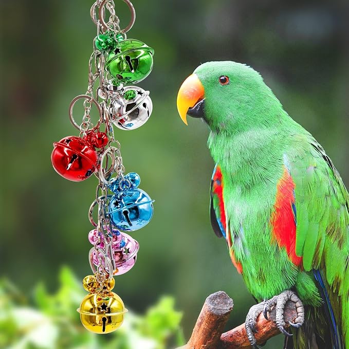 Oooct Bird Swing Bells Toys, Colorful Parrot Metal Bells, Hanging Bird Chewing - Image 5