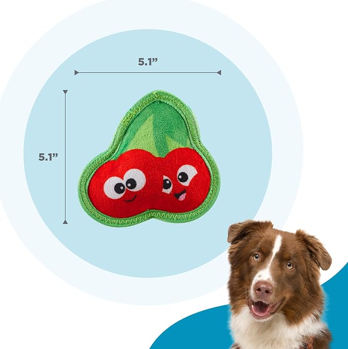 Outward Hound Tough Skinz Durable Squeaky Dog Toy - Image 5