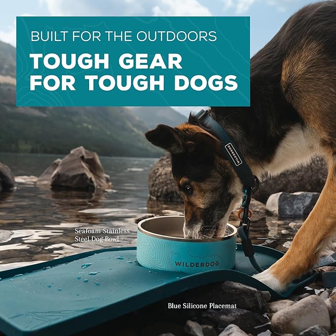 Wilderdog Silicone Pet Placemat Made - Image 5
